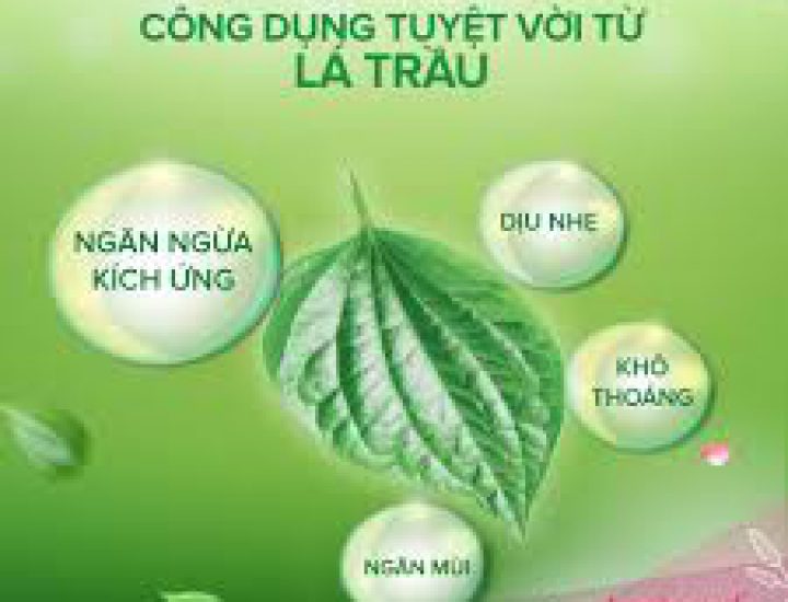 DUNG DỊCH VỆ SINH PHỤ NỮ LACTACYD 150ML CHIẾT XUẤT TRẦU KHÔNG VÀ HOA HỒNG-033